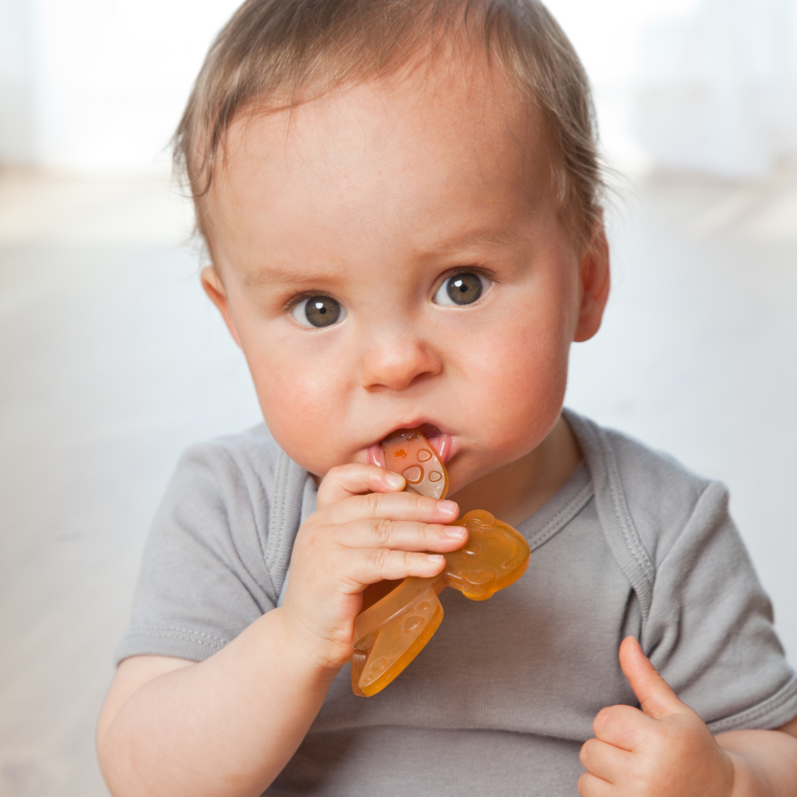 GRÜNSPECHT Bio-Beissring Schildkröte