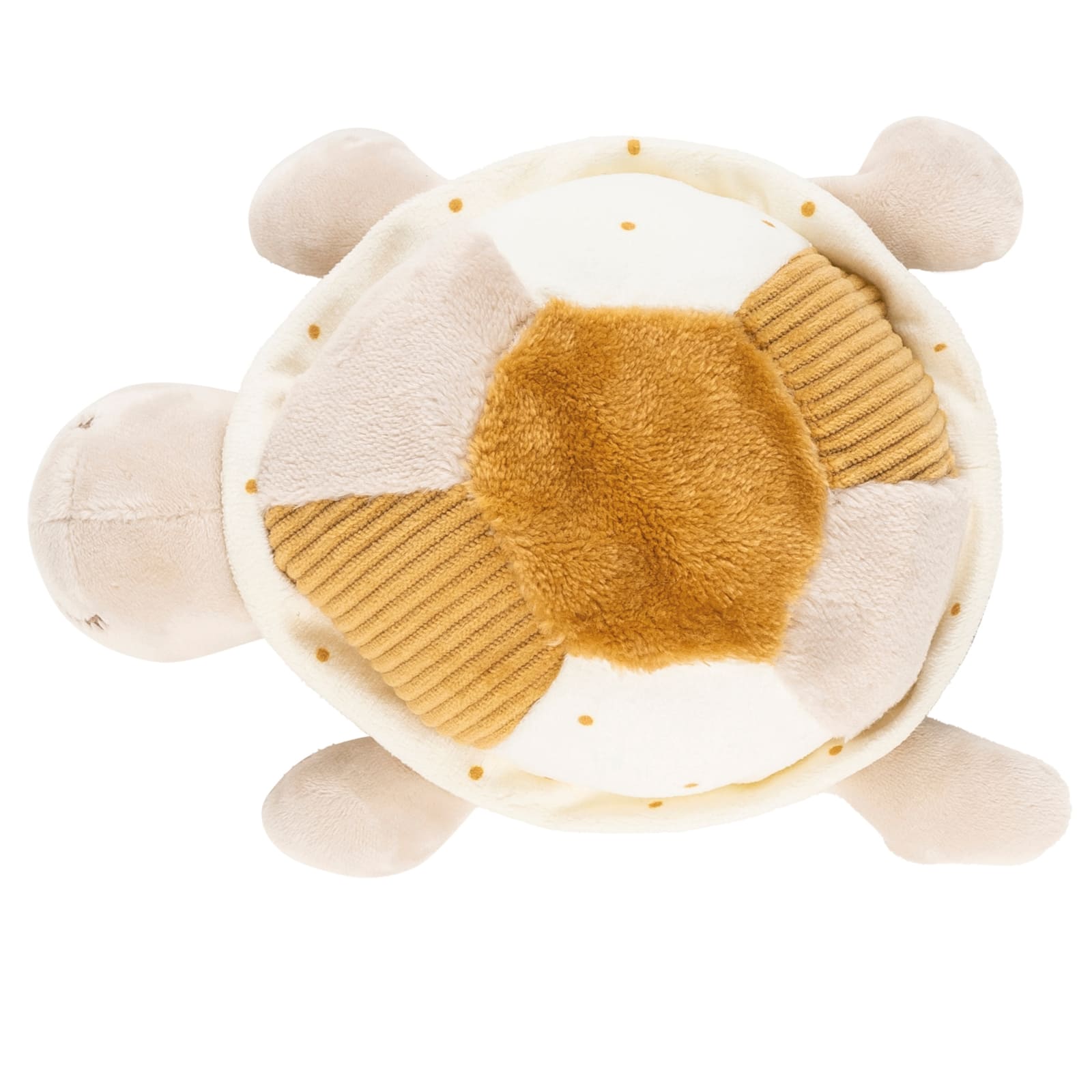 NATTOU Lapidou Tortue avec activités caramel