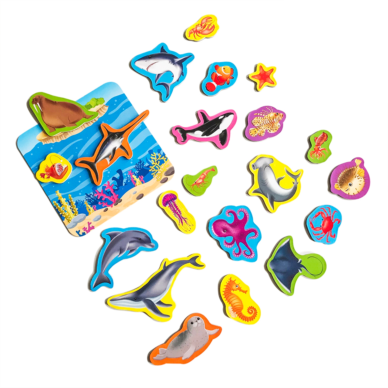 ROTER KÄFER Jeu magnétique Animaux marins, 3-5 ans