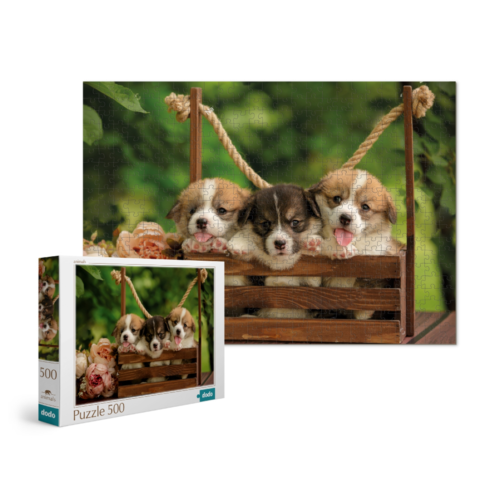 DODO Puzzle Chiot corgi gallois 500 éléments, 8a+