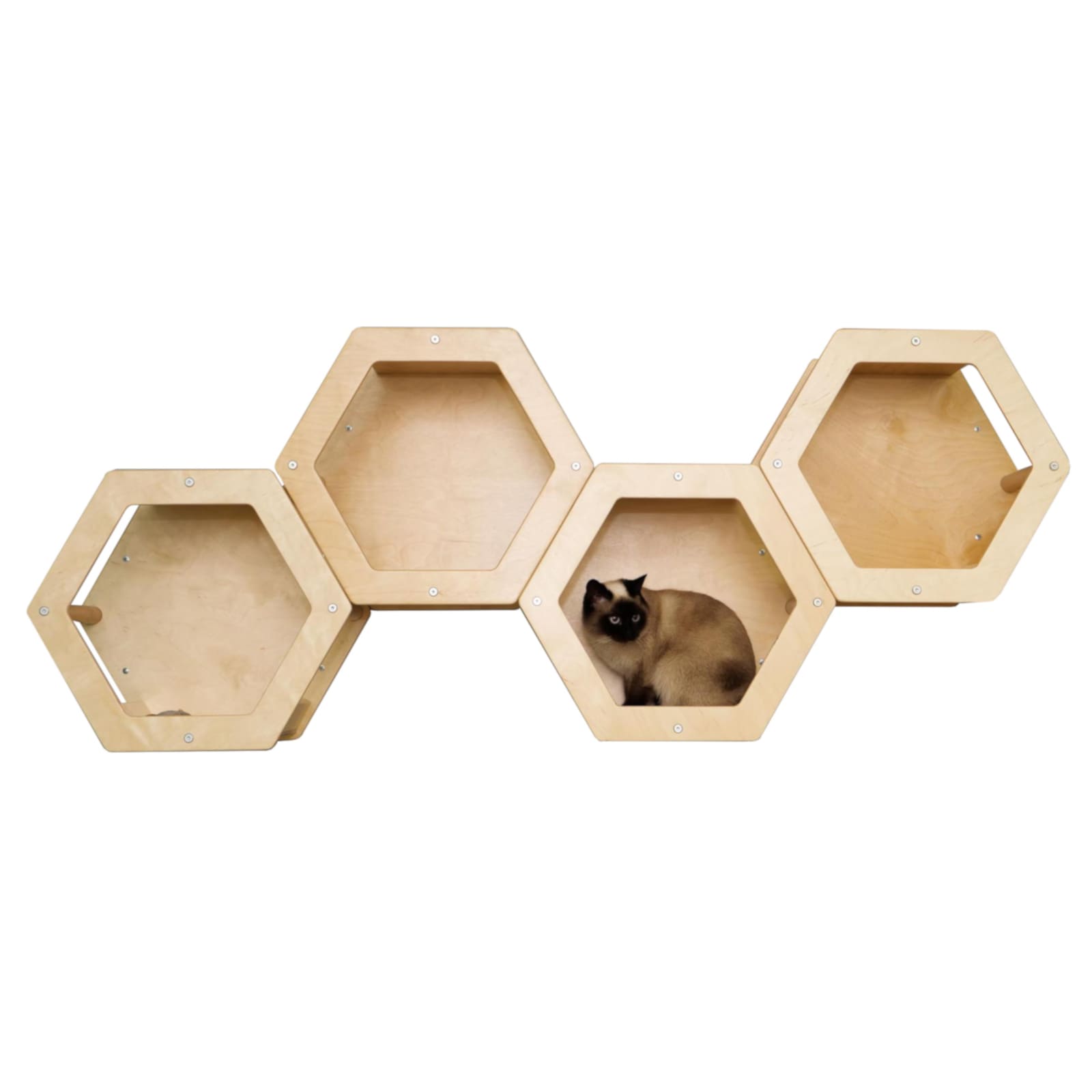 WOWHELPERCO 4 Waben natur