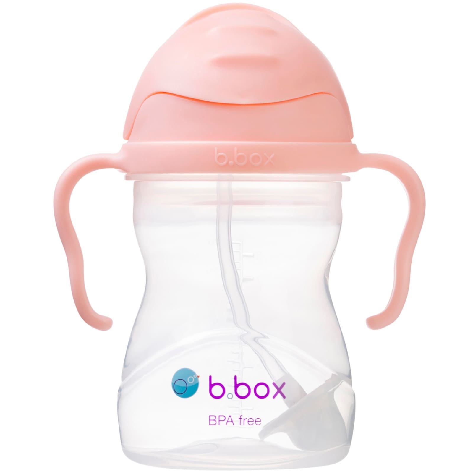 B.BOX Trinklernbecher Sippy Cup 240ml Tutti Frutti