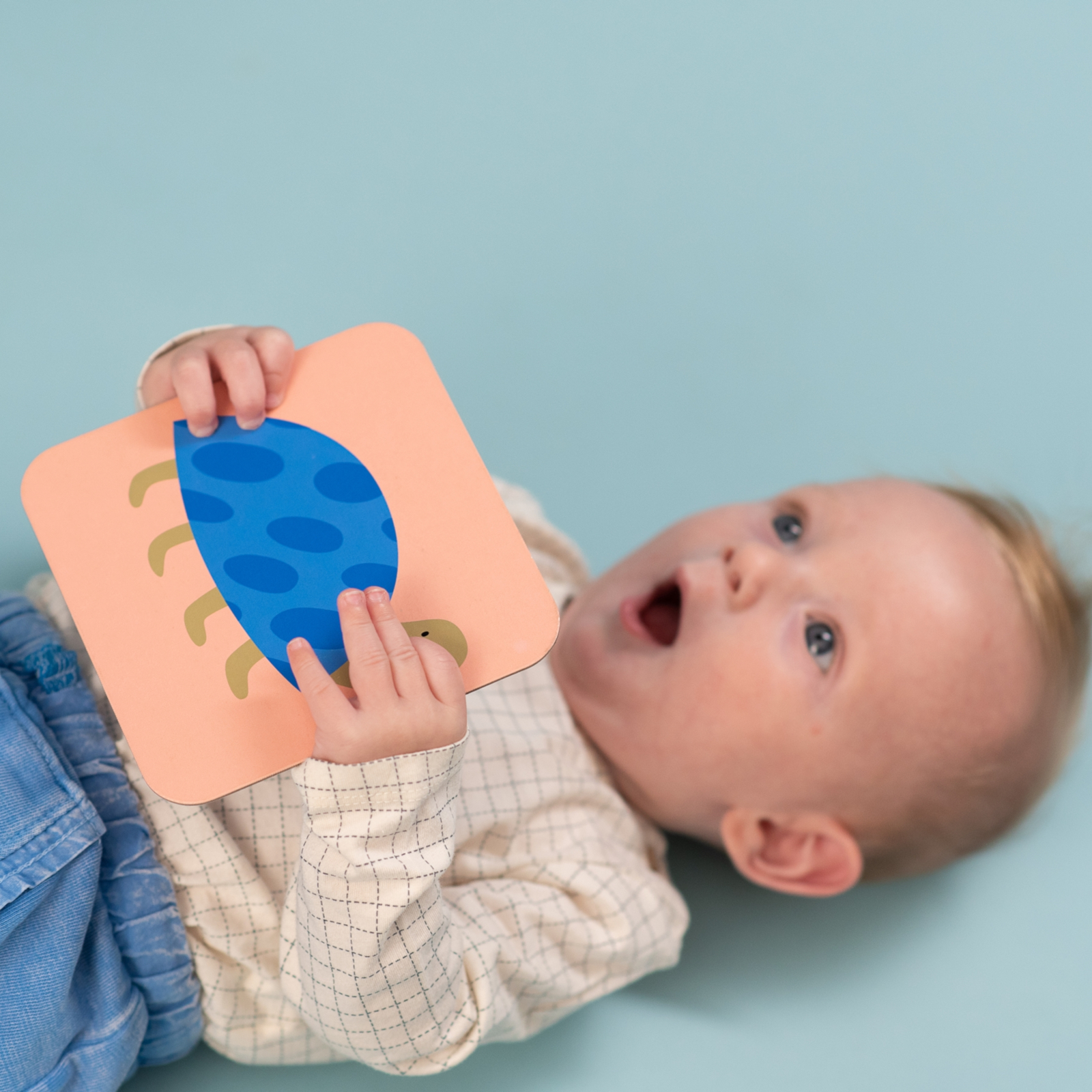 TAF TOYS Meine ersten Spielkarten, 0M+