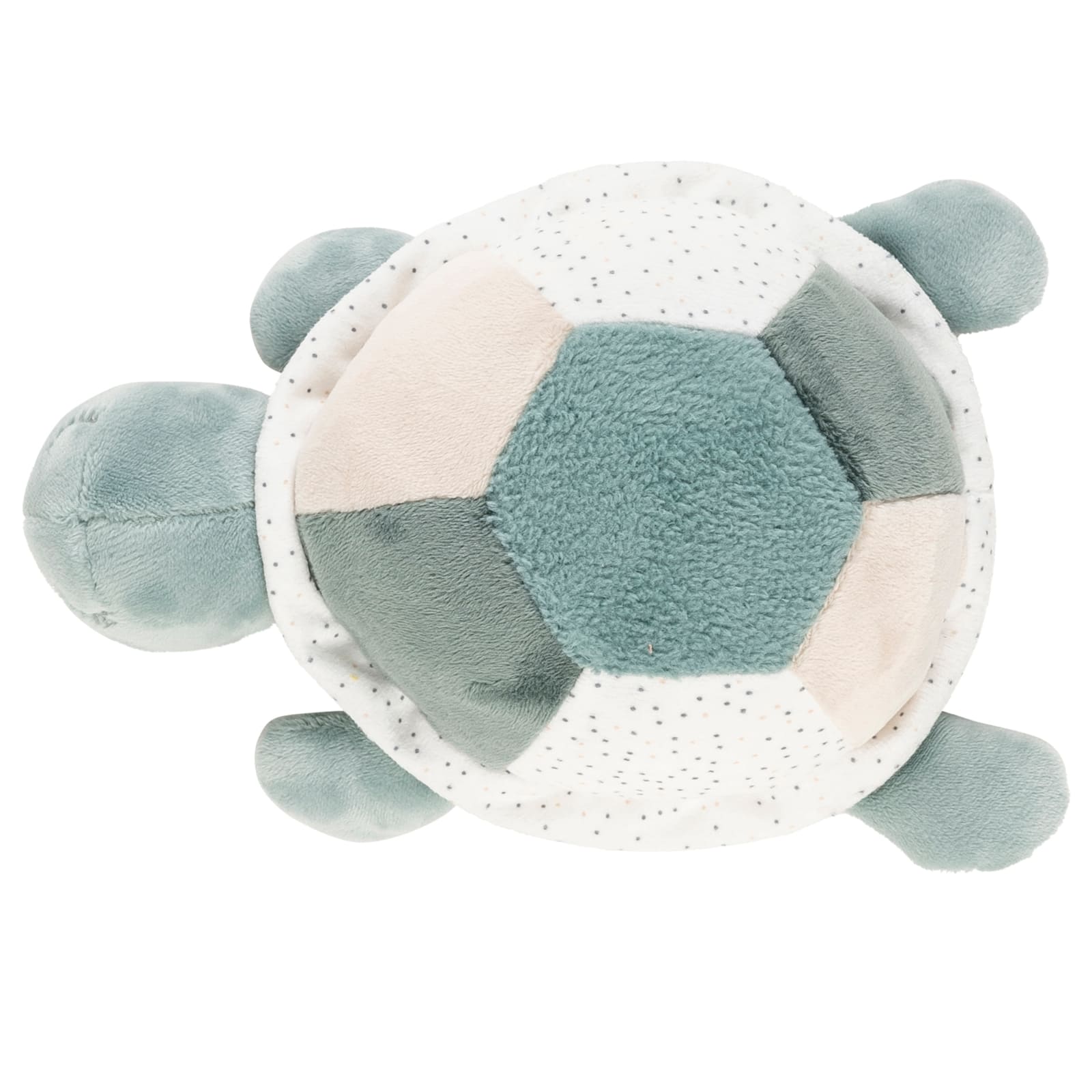 NATTOU Lapidou Tortue avec activités vert