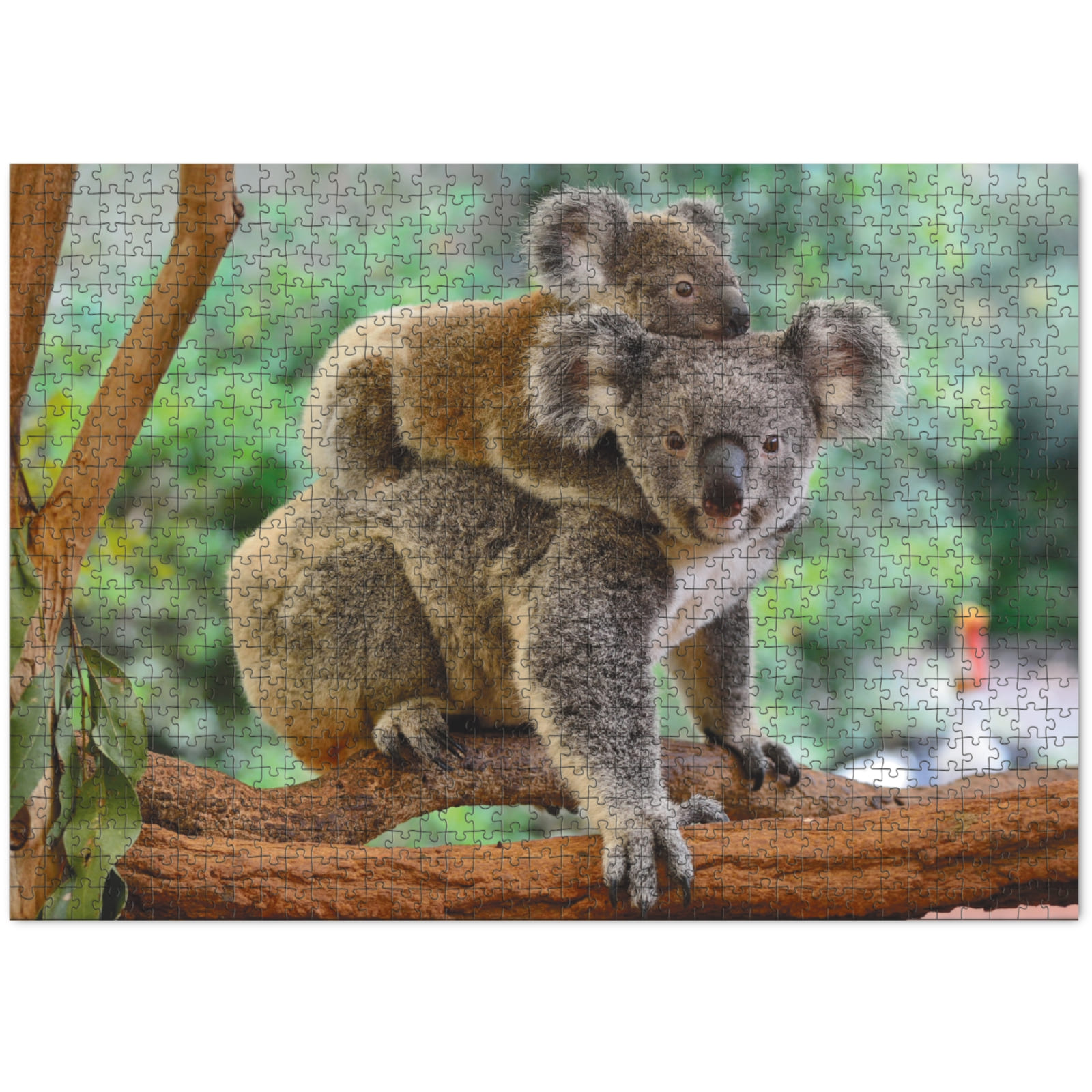 DODO Puzzle Maman Koala avec son bébé 1000 pièces, 8a+