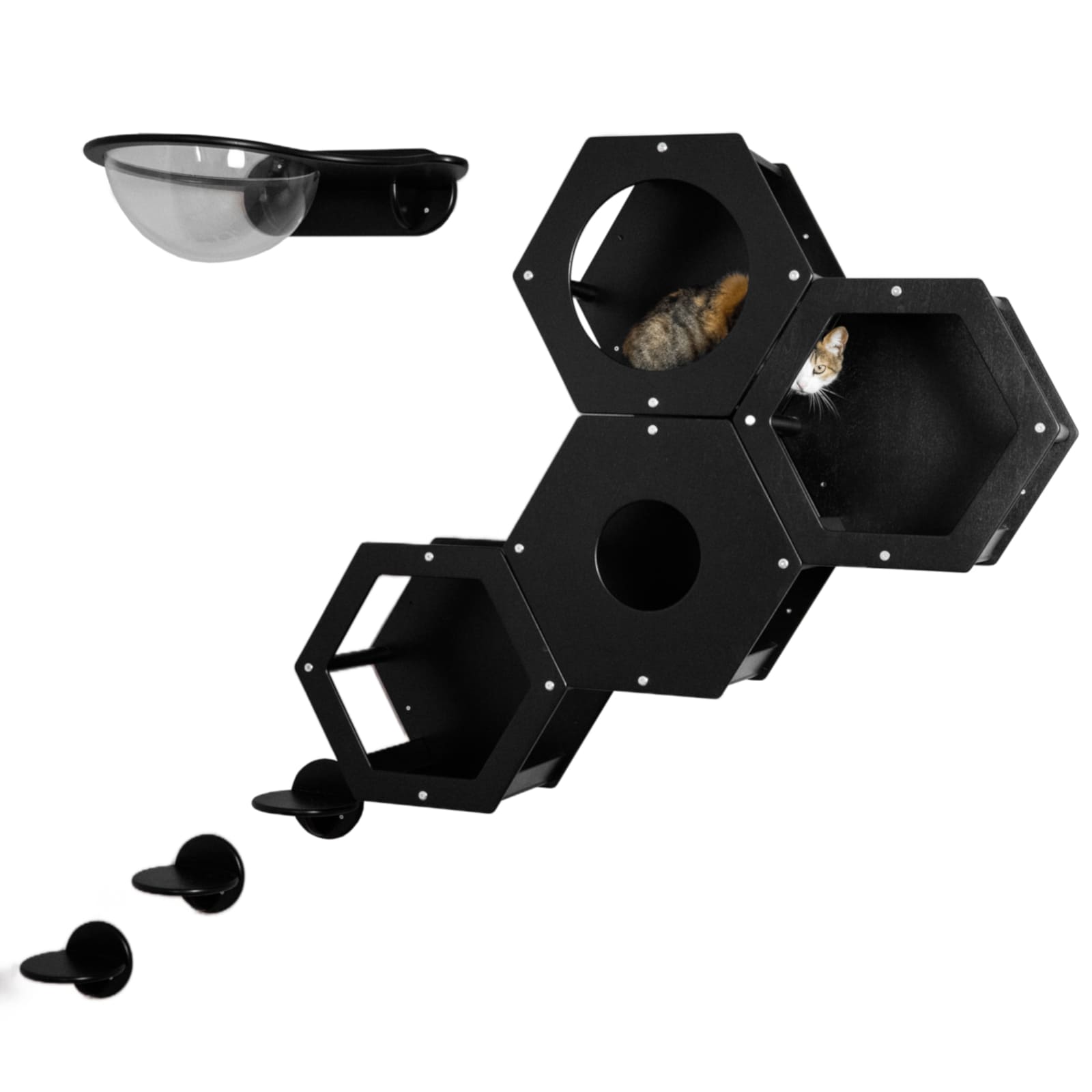 WOWHELPERCO Kletterwand für Katzen 8-teilig schwarz